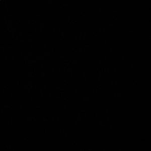 Meet your Posher, Dina